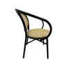 Chopin Noir Thonet ( terras ) stoelen webbing met arm