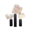 Super-Seat | De Luxe coral decor 210cm gold/wood set of 3 | Gold and wood with elegantly detailed sea fan on black base. | Mobilier de restauration