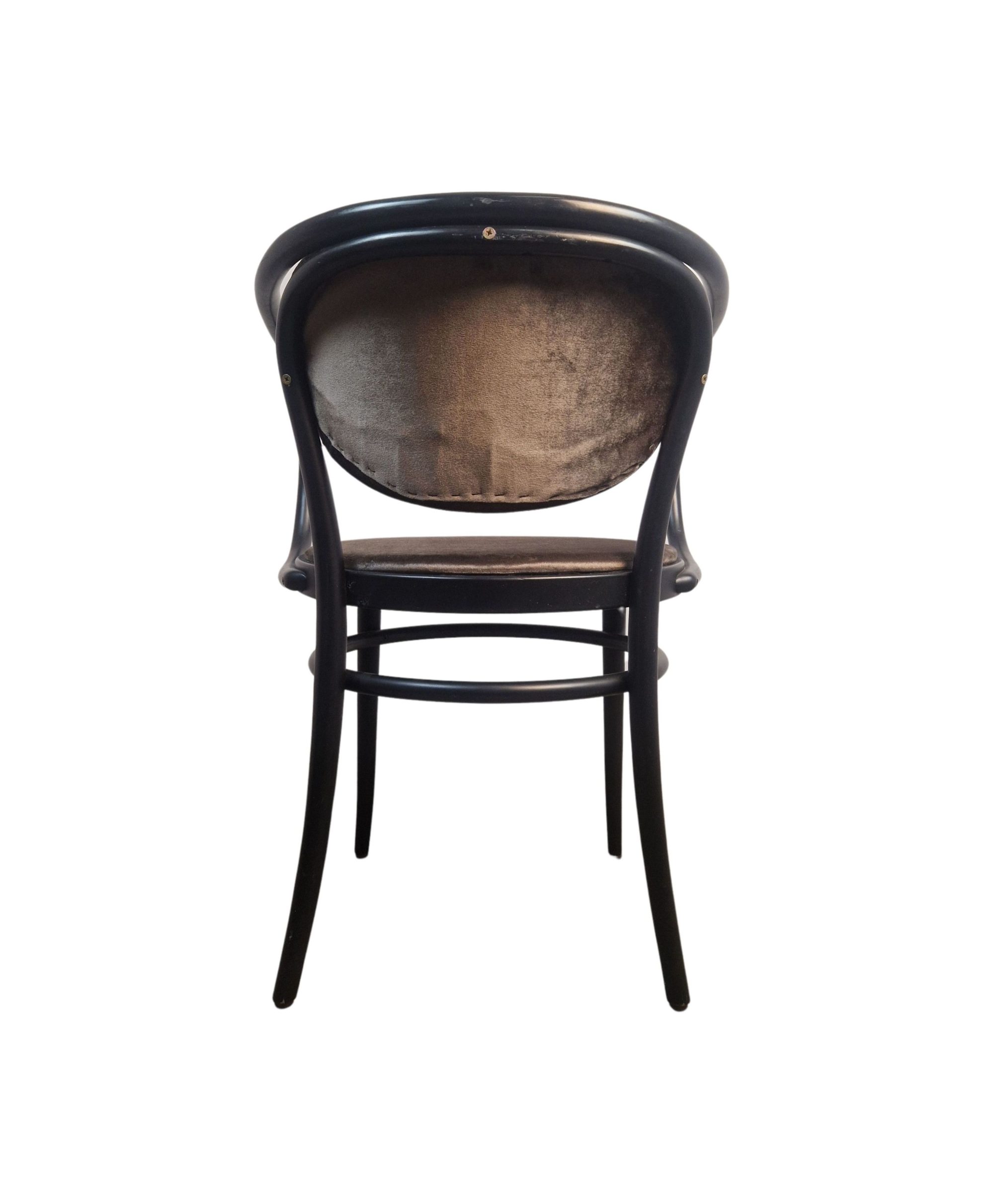 Super-Seat | Die Michael Thonet 210 Vintage Bugholz-Armstühle Mokka | Schwarzer Holzstuhl mit gebogenem Teppich, runde mokkafarbene Polsterung, Holzrahmen. | Horecameubilair